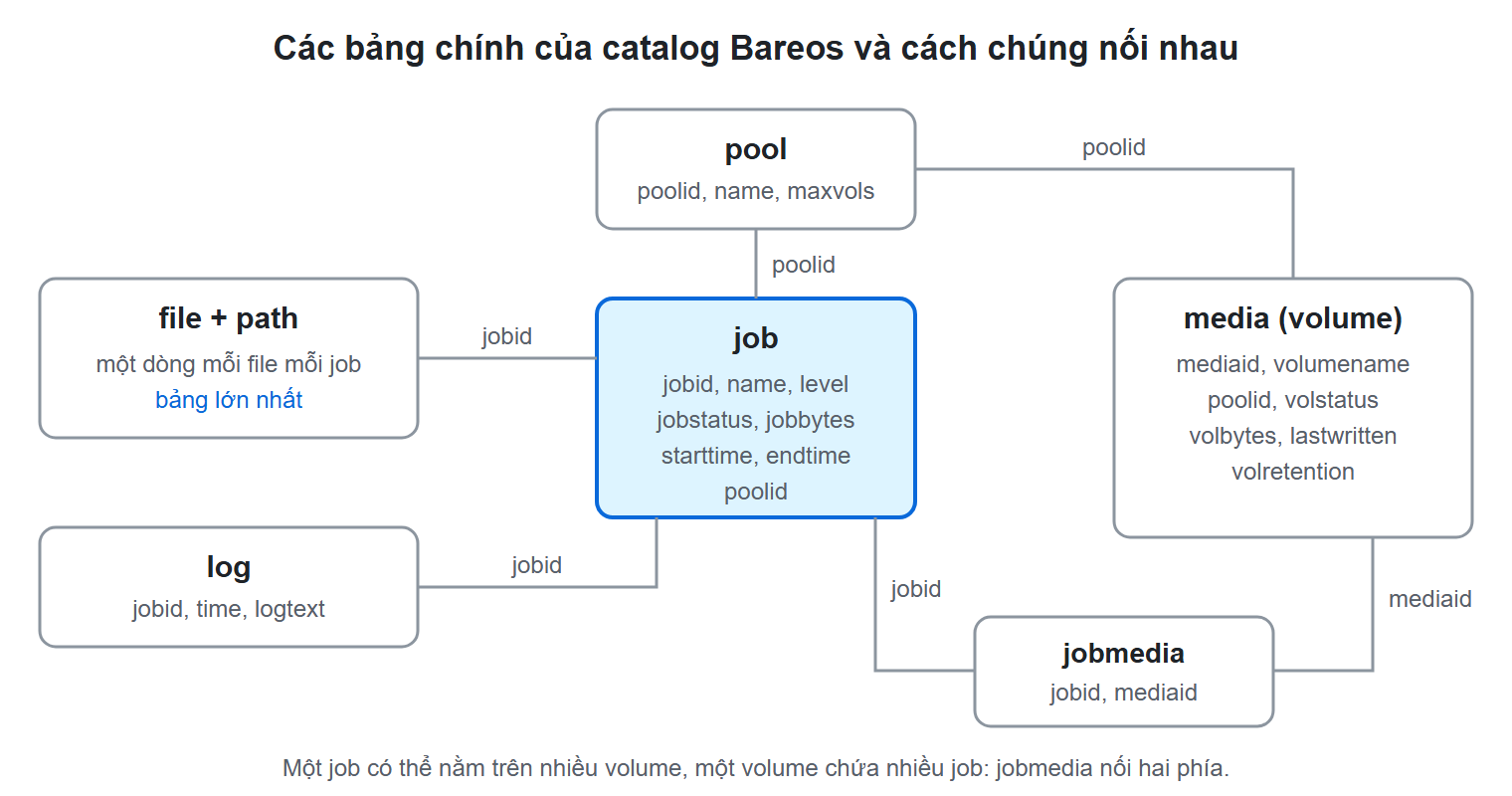 Sơ đồ minh hoạ: Catalog: trái tim của Bareos