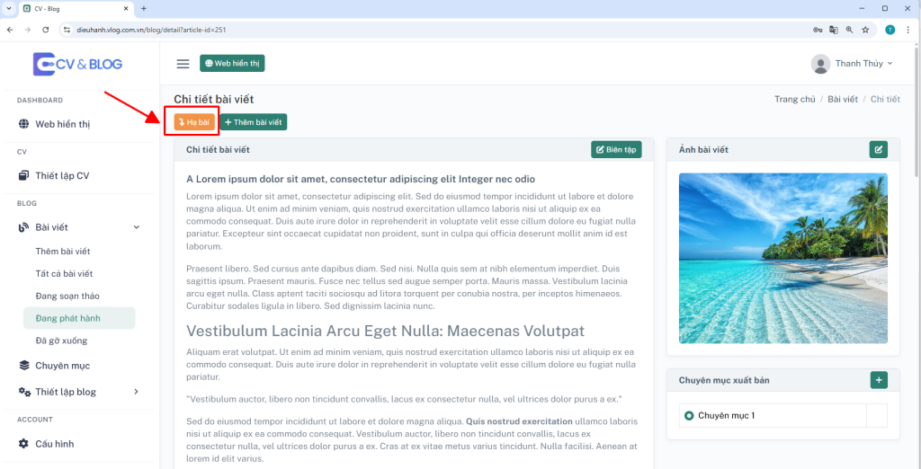 Hướng dẫn xây dựng website Blog | CV & Blog