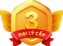Cấp đại lý 3
